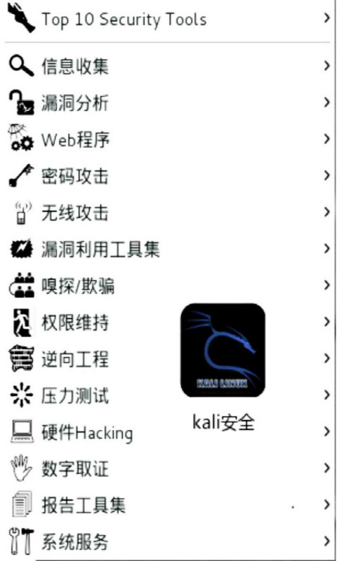 kali指南截图1