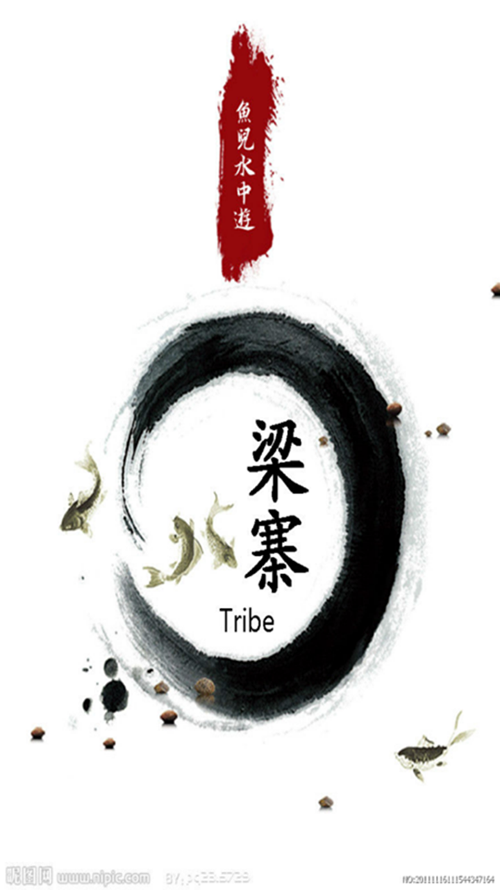 梁寨Tribe截图1