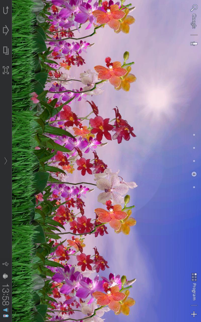 Orchids FREE截图2