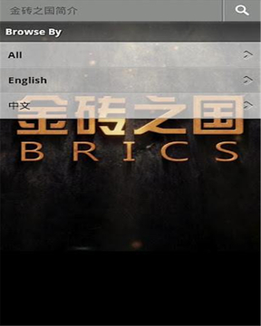 金砖之国截图