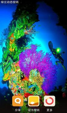 珊瑚海-绿豆动态壁纸截图