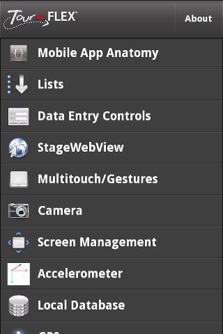 Tour de Mobile Flex截图3