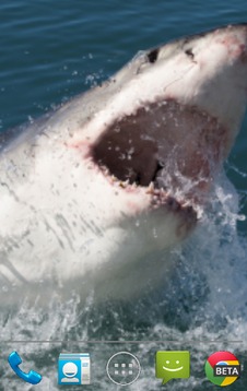 大白鲨 - 动态壁纸截图