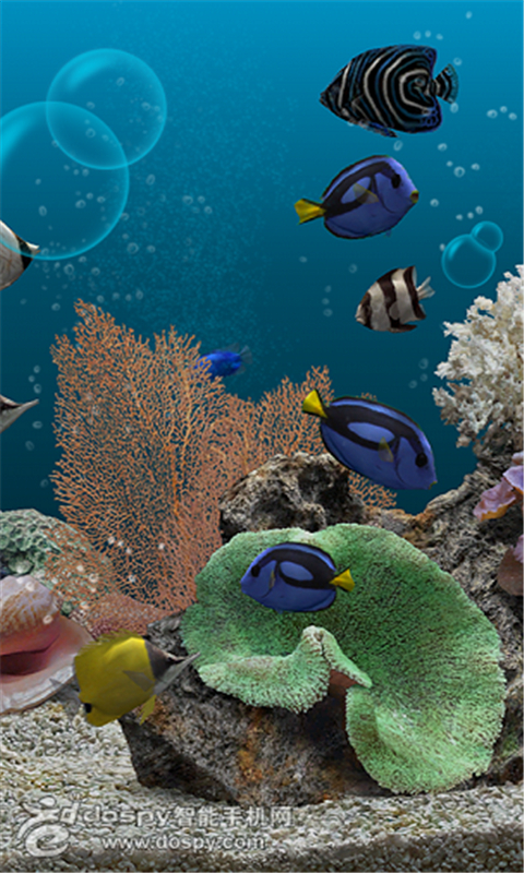Aquarium 3D Live Wallpaper截图1
