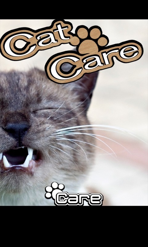 照顾宠物猫截图1