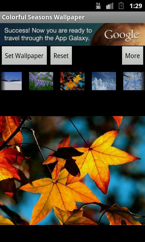 Colorful Seasons Wallpaper截图5