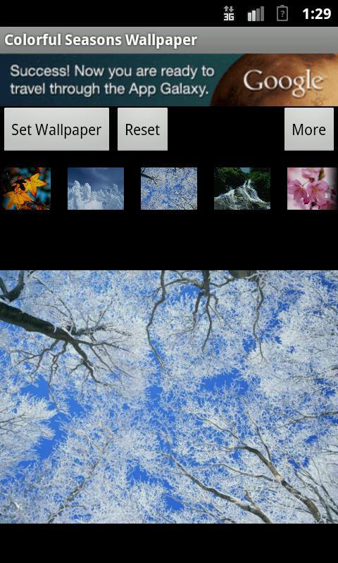 Colorful Seasons Wallpaper截图7