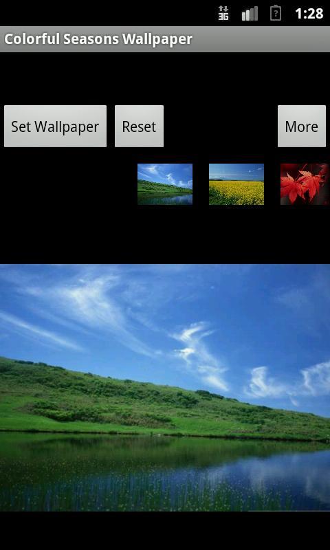 Colorful Seasons Wallpaper截图1