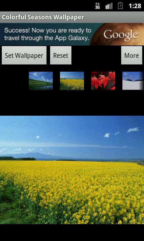 Colorful Seasons Wallpaper截图2