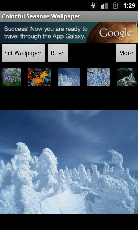 Colorful Seasons Wallpaper截图6