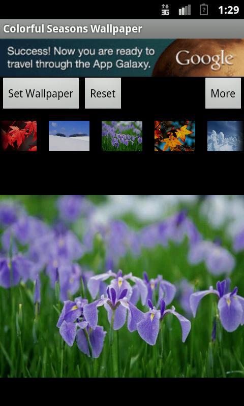Colorful Seasons Wallpaper截图4