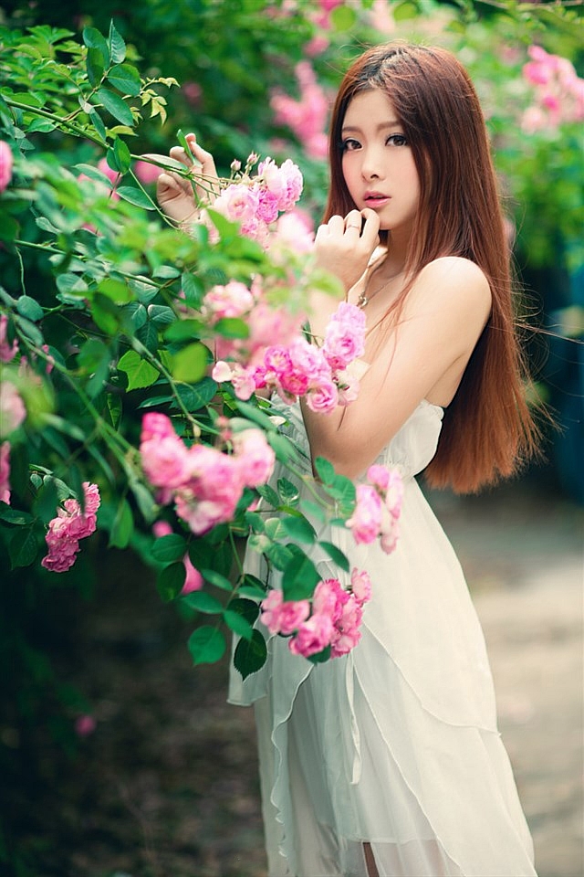 桃花落英美女截图1