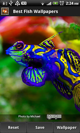 Best Fish Wallpapers截图5