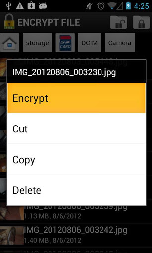 Encrypt File Free截图4