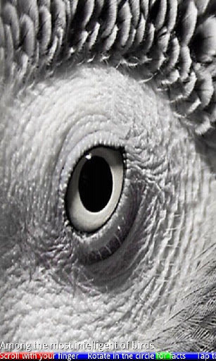 Animal Eyes 2 FREE截图8