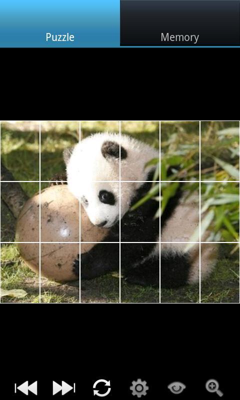 有趣的熊猫 Funny Panda截图4
