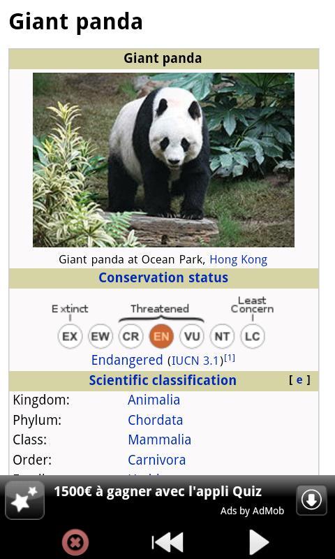 有趣的熊猫 Funny Panda截图3