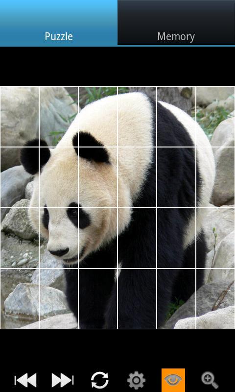 有趣的熊猫 Funny Panda截图8