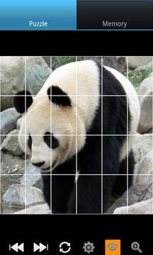 有趣的熊猫 Funny Panda截图
