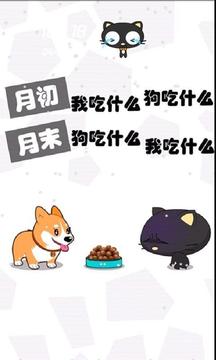 搞笑嘿莉猫个性语录炫酷锁屏截图