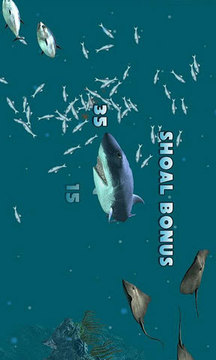 嗜血狂鲨2截图