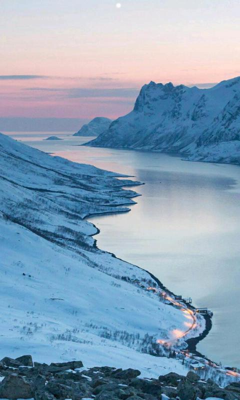 十二月雪景-绿豆动态壁纸截图1