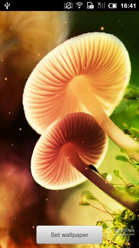 Dream Mushroom截图2