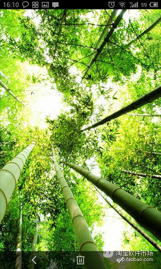 Bamboo Falling截图5