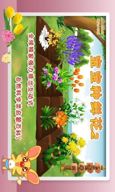 宝宝种鲜花2截图2