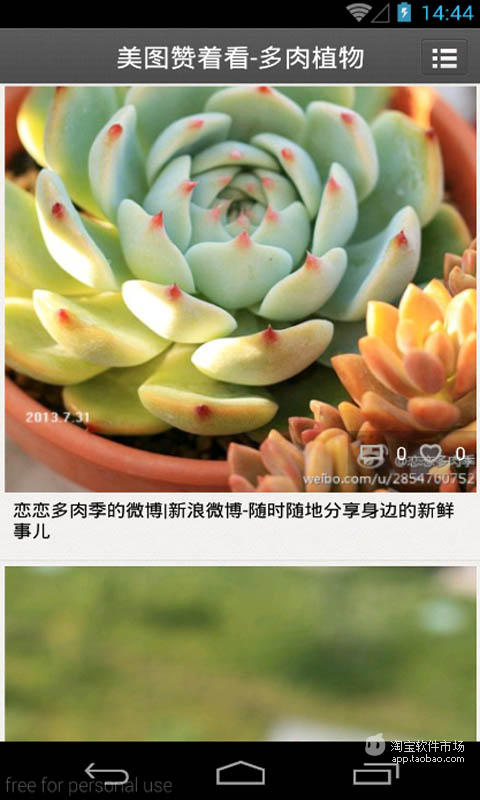 美图赞着看-多肉植物截图2