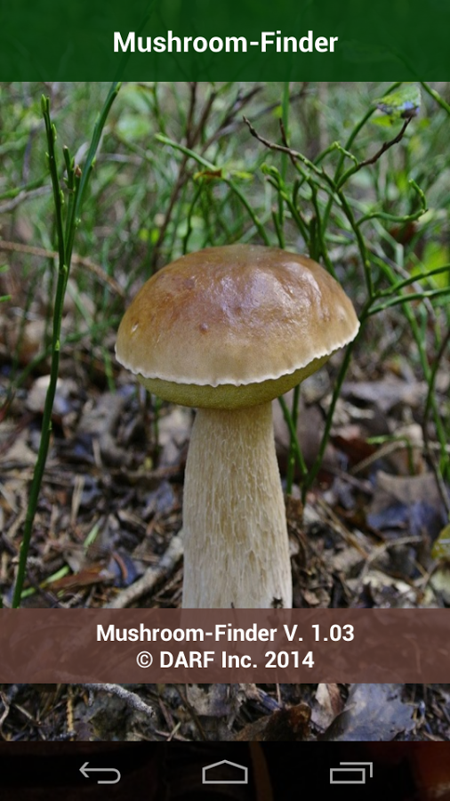 Mushroom Finder截图2