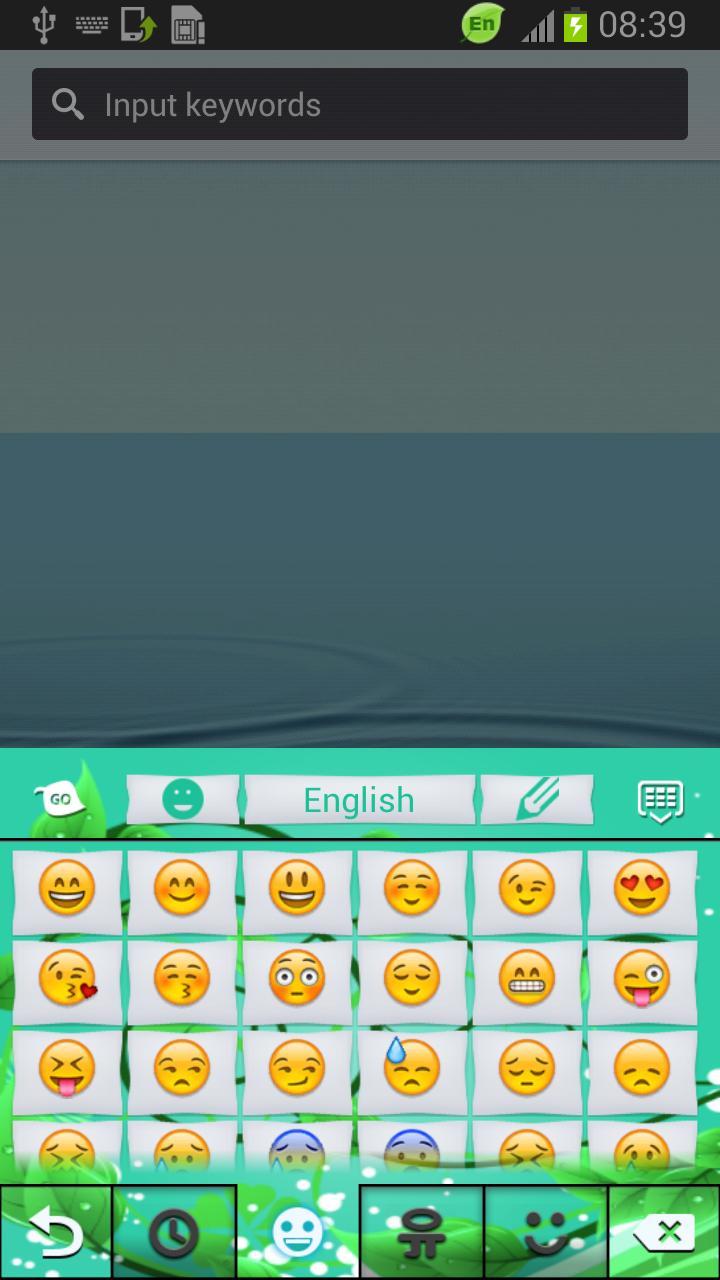 Keyboard Mint截图4