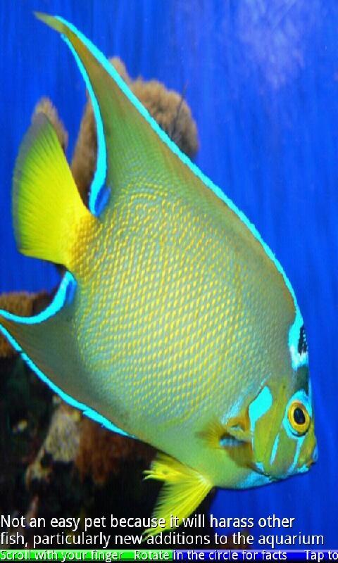 Marine Aquarium Fish 2 F截图3