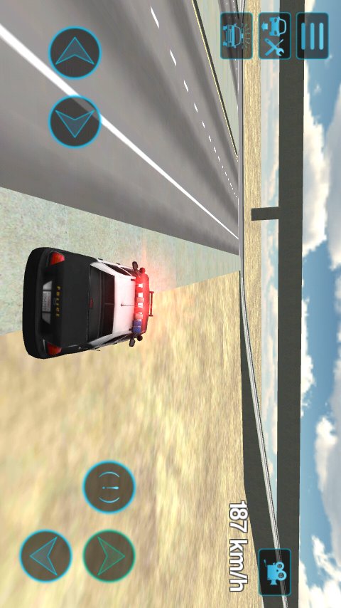模拟驾驶警车3D截图2