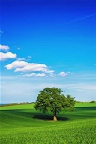 3D Nature Scenery截图3