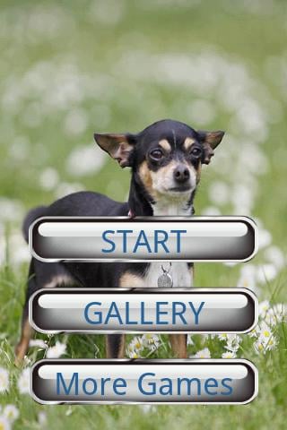 小狗拼图 Dog Puzzle: Chihuahua截图1