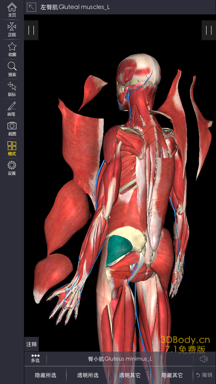 3DBody系统解剖截图5