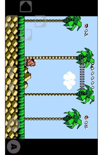 冒险岛Ⅲ Adventure Island III截图5