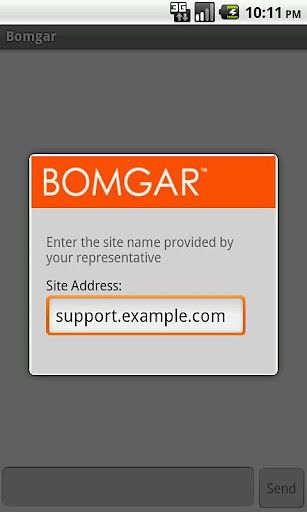 Bomgar Support Client截图4