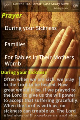 Daily Catholic Prayers截图4