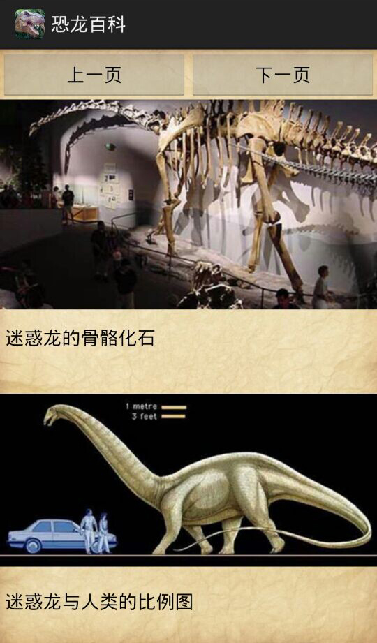 恐龙百科截图1