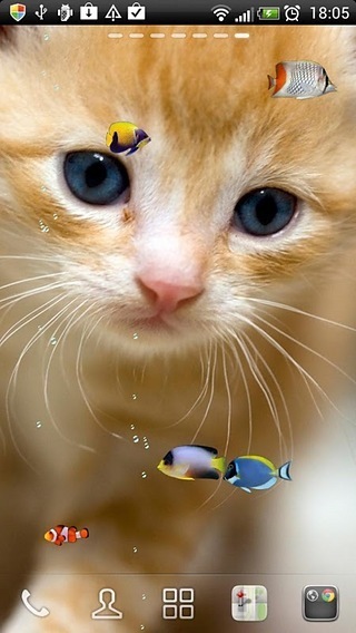 KITTY & FISH LIVE WALLPAPER(4)截图1