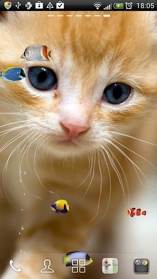 KITTY & FISH LIVE WALLPAPER(4)截图2