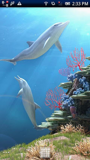 Dolphin CoralReef Trial截图1