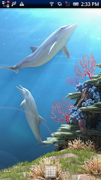 Dolphin CoralReef Trial截图