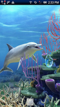 Dolphin CoralReef Trial截图