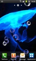 Neon Blue Jellyfish HD LWP 截图2