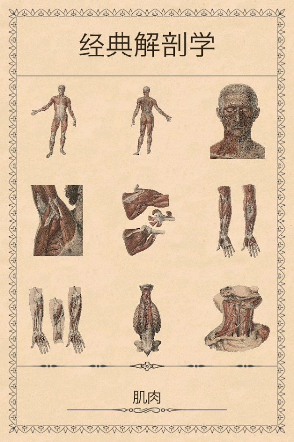 剖析(经典版)截图2