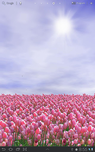 Tulip Field FREE截图4