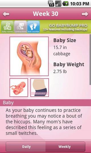 BabyBump Pregnancy Free截图6